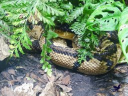 Haus des Meeres 4.02.2026